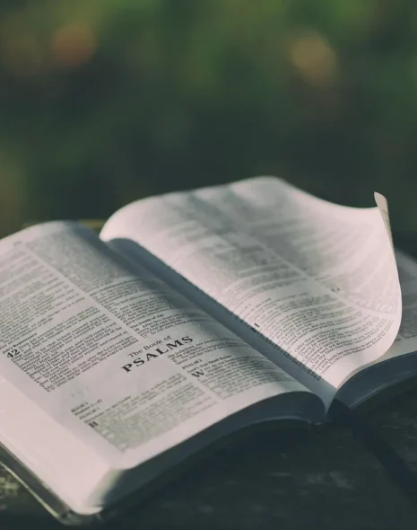 Bible Character Riddles