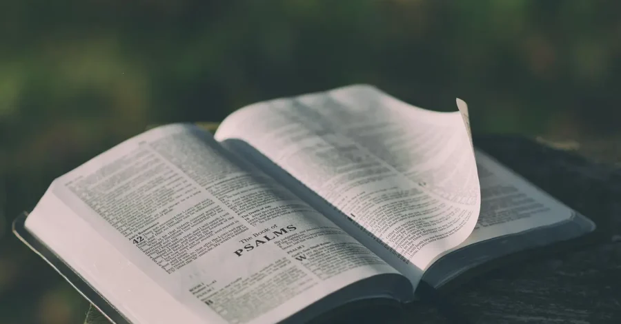 Bible Character Riddles