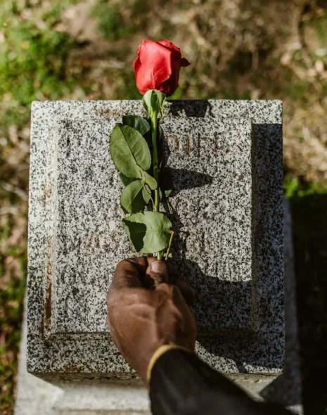 Life's fragile thread